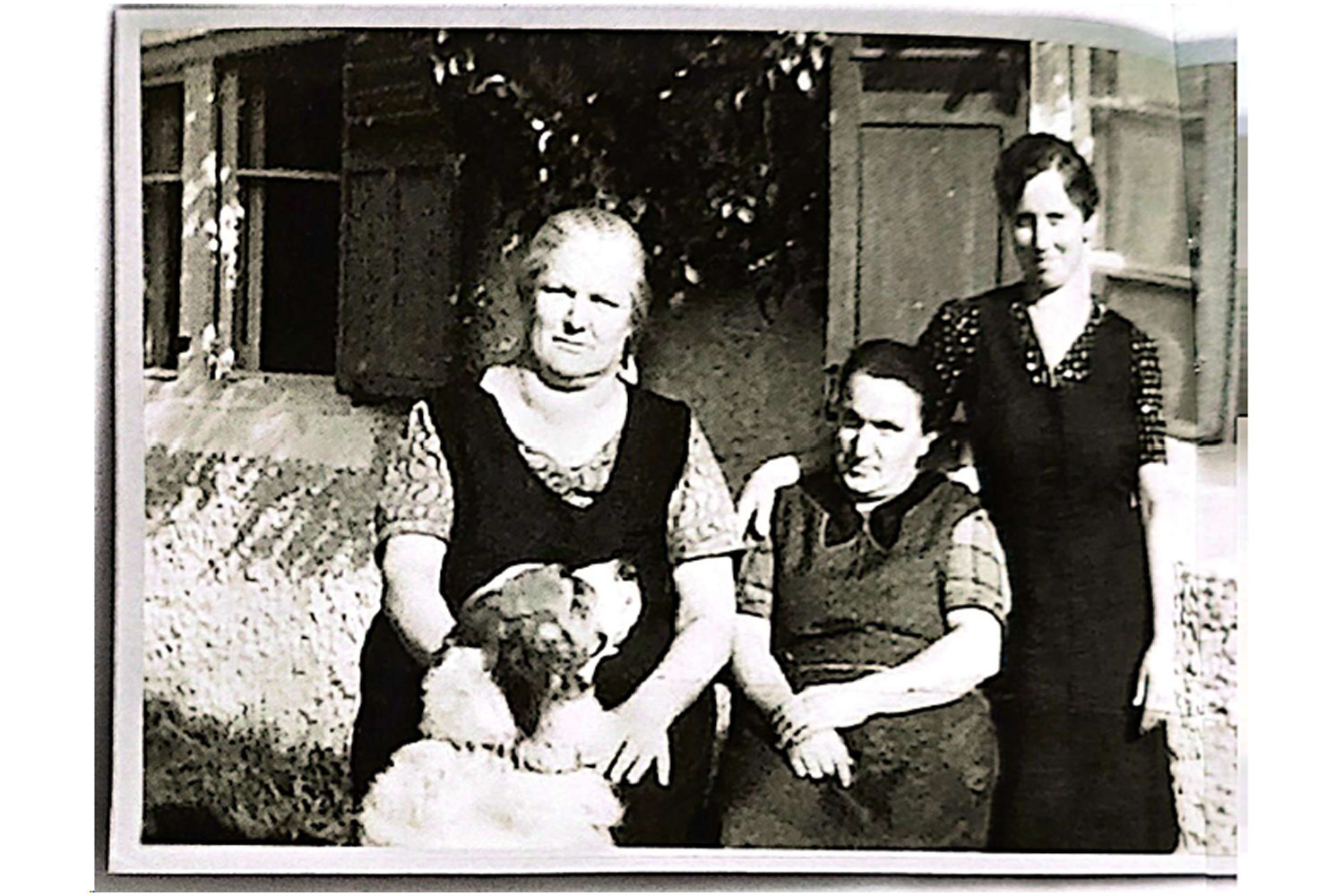 julie-knoll